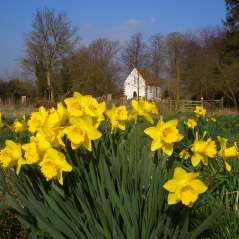 old-church-in-spring.jpg
