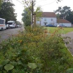 sunday-morning-church-close.jpg